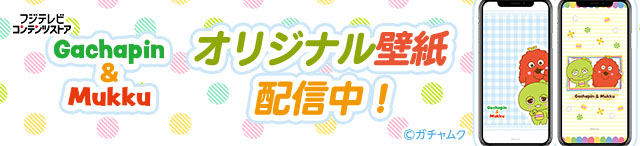 コンテンツストア