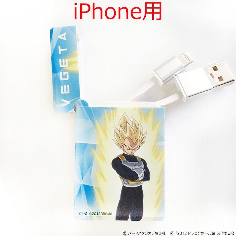 e!ショップ限定】ドラゴンボール超 ブロリー BOX収納型USBケーブル