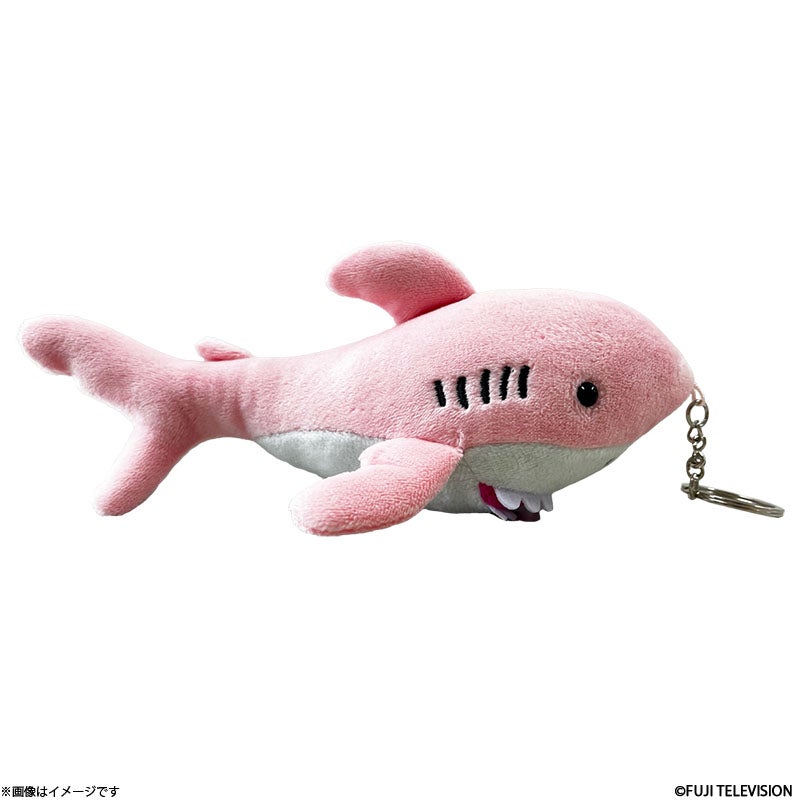 サメのぬいぐるみ 全領域異常解決室 劇中登場 サメのぬいぐるみマスコット | フジテレビ