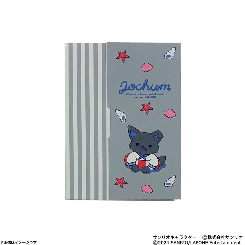 DVD]アンサング・シンデレラ 病院薬剤師の処方箋 DVD-BOX | フジテレビ