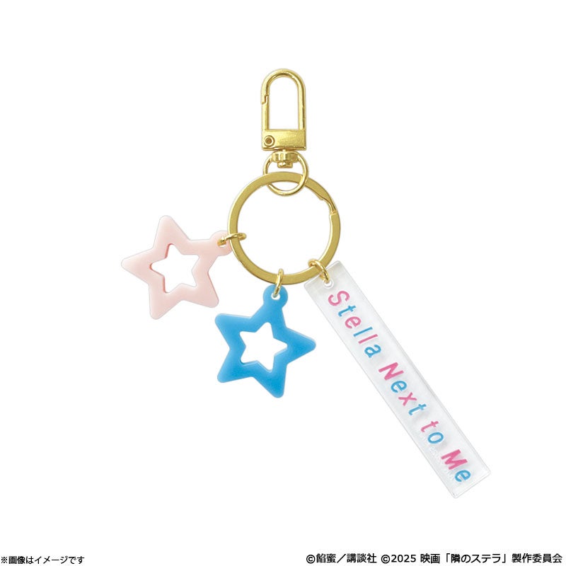 ドラマ　流れ星　キーホルダー/バッチ/クリアファイルセット 隣のステラ クリアファイルセット | フジテレビe!ショップ