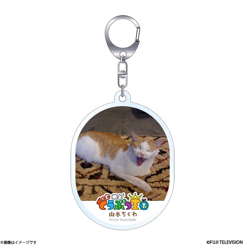 坂上どうぶつ王国 ディレクターセレクト アクリルキーホルダー 森田