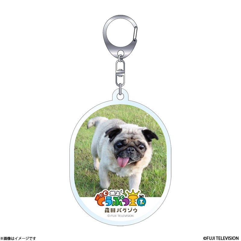 坂上どうぶつ王国 ディレクターセレクト アクリルキーホルダー 森田